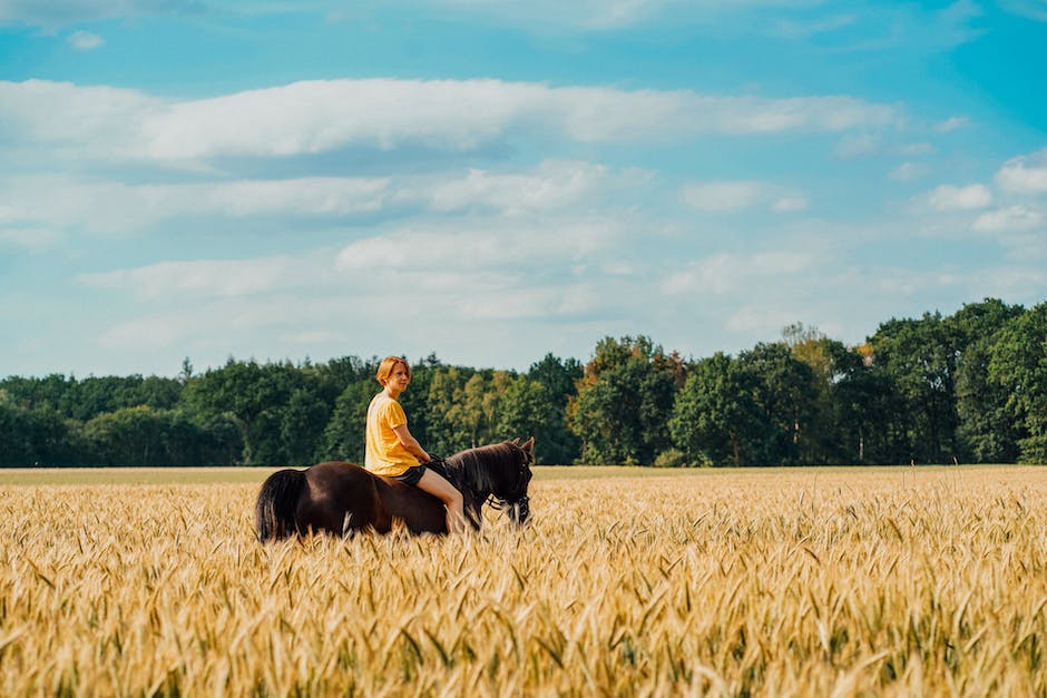  Getreideanbau in Deutschland