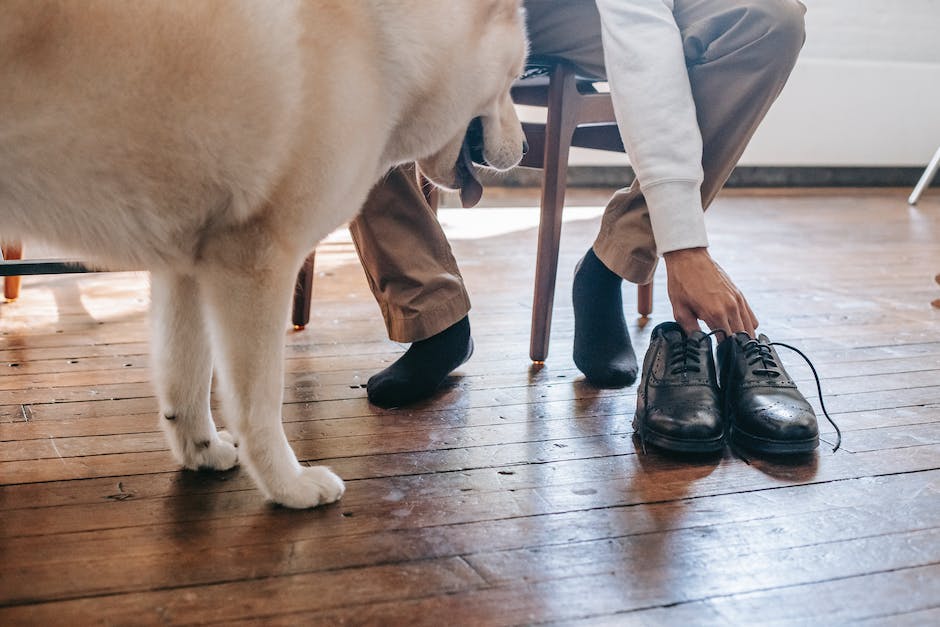 schöne Schuhe für Männer - welche finden Frauen anziehend?