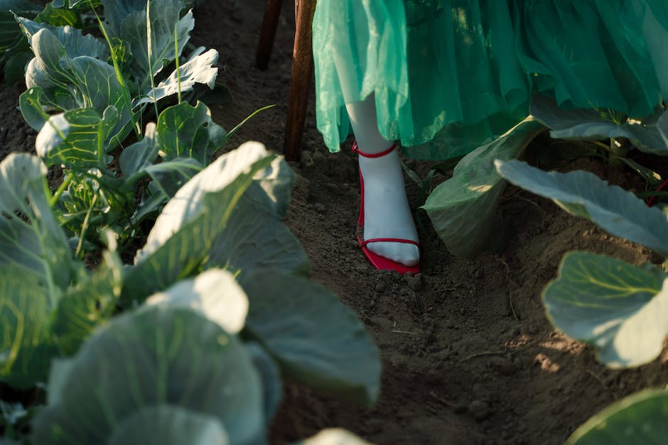 Schuhe passend zu weißem Kleid