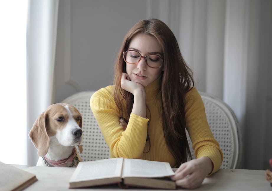  wie bekomme ich Hundekot von Schuhe entfernt